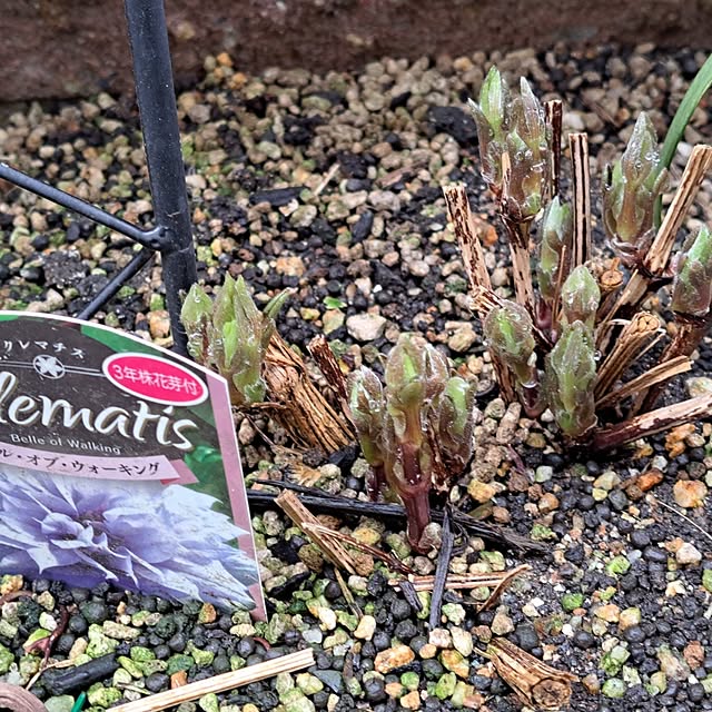 valleさんの部屋