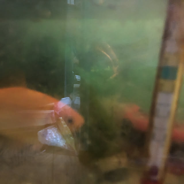 masanasiさんの実例写真