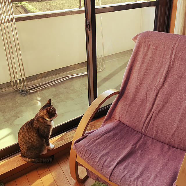 trsp_530さんの実例写真