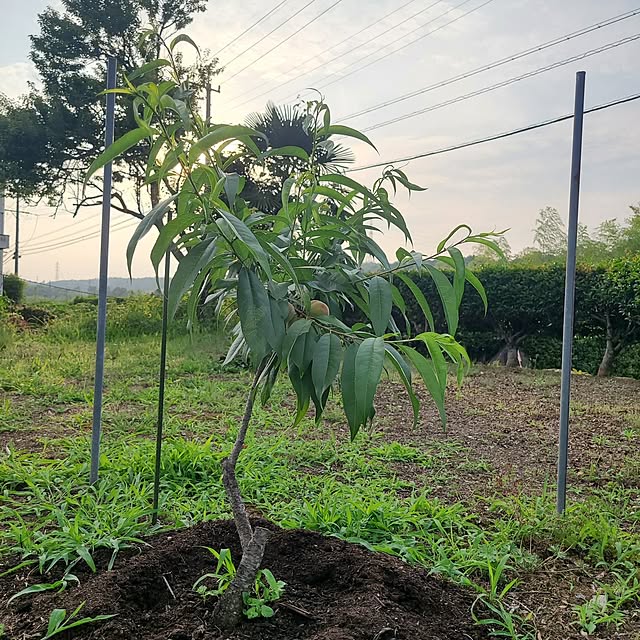 Rubiconさんの部屋