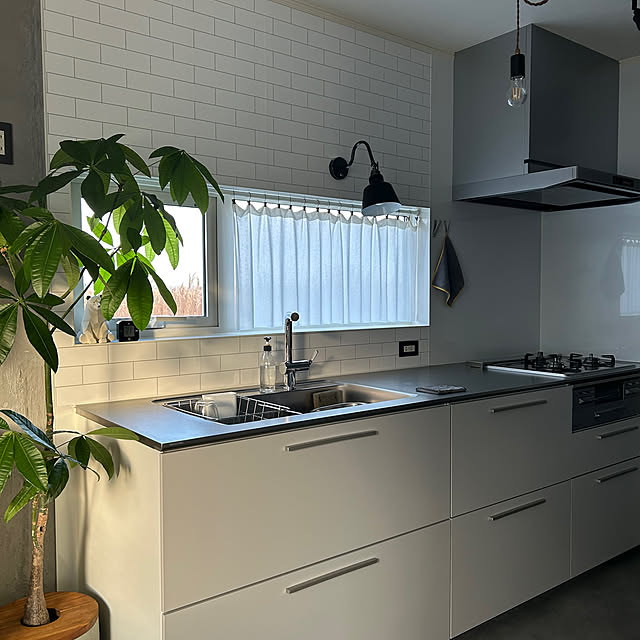 mocoさんの実例写真