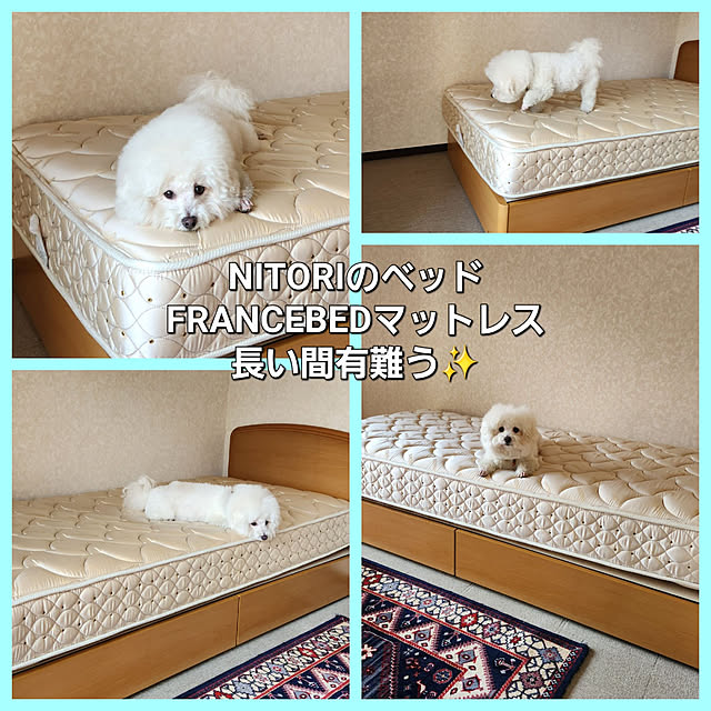 takoさんの実例写真