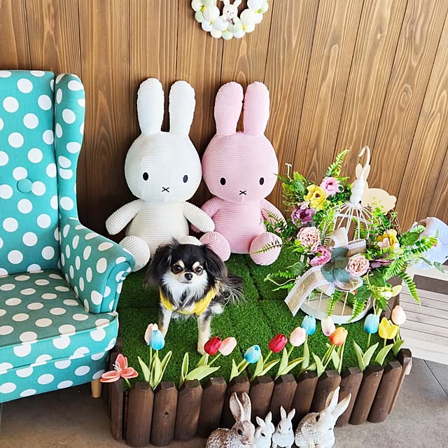 yumegu8さんの部屋