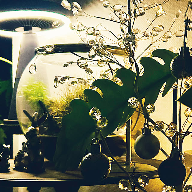 DAYONEさんの部屋