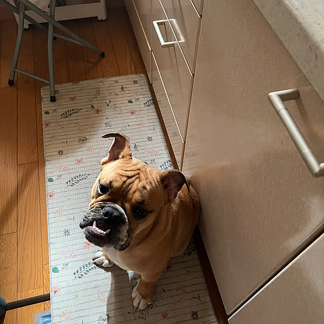 chi_gogaさんの部屋