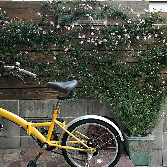 bibianさんの実例写真