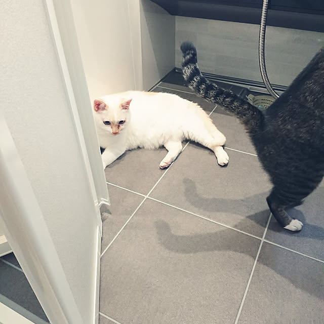 nachiさんの実例写真