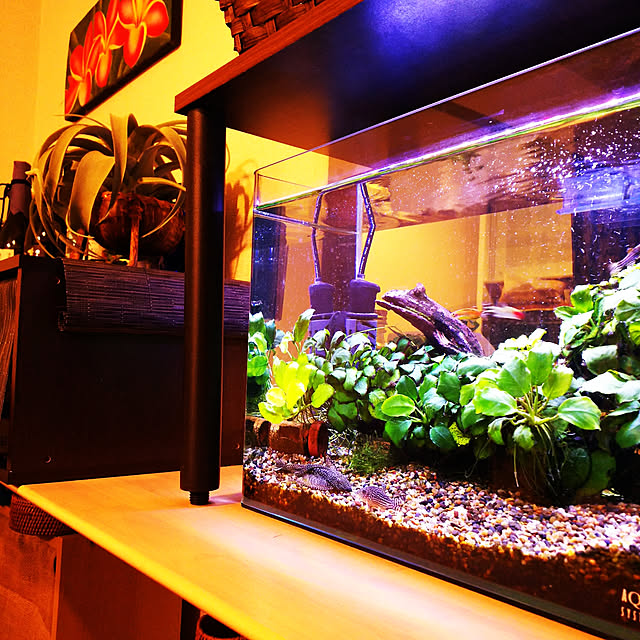 anago106さんの実例写真