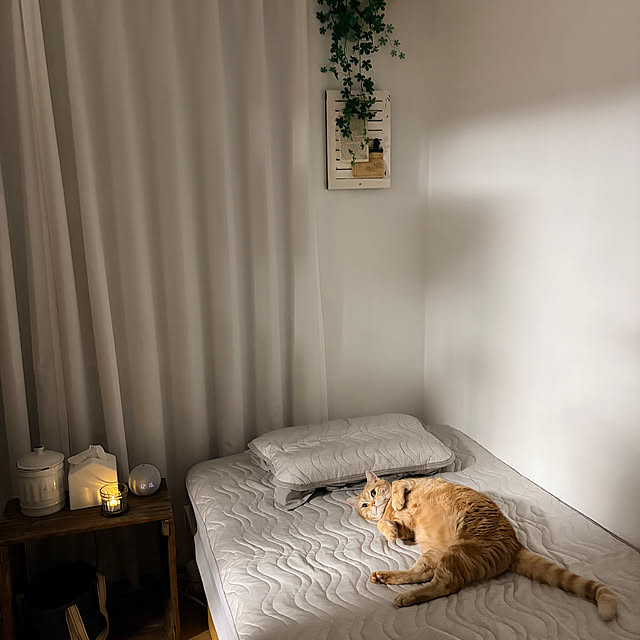 Atelier.mさんの実例写真