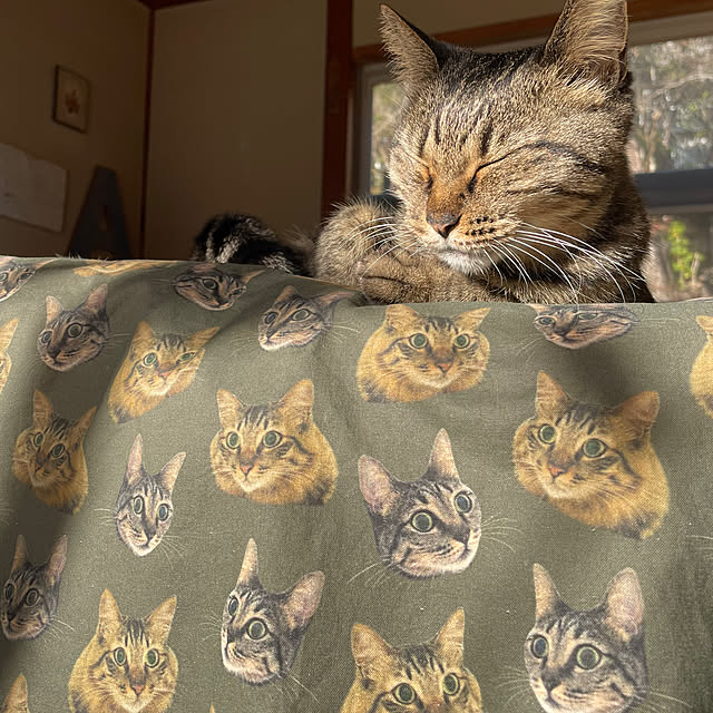 weさんの部屋