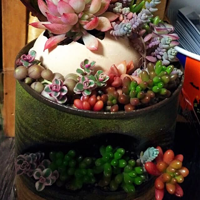 実例写真