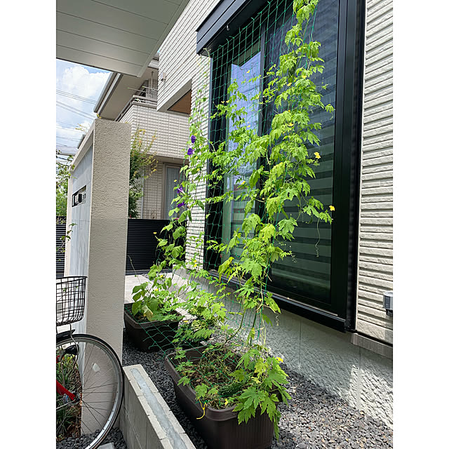 fruitsさんの実例写真
