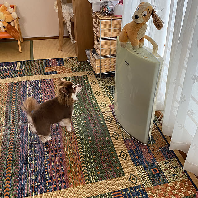 chIoeさんの部屋