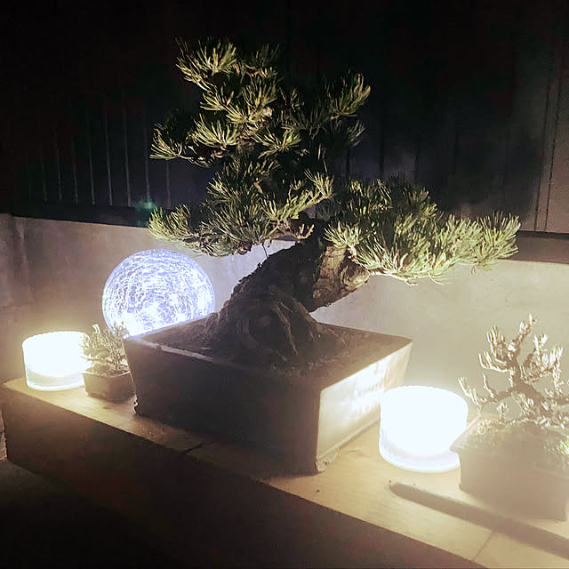 r.t.mamaさんの実例写真