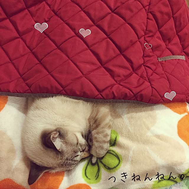 tsukiyuzuさんの実例写真