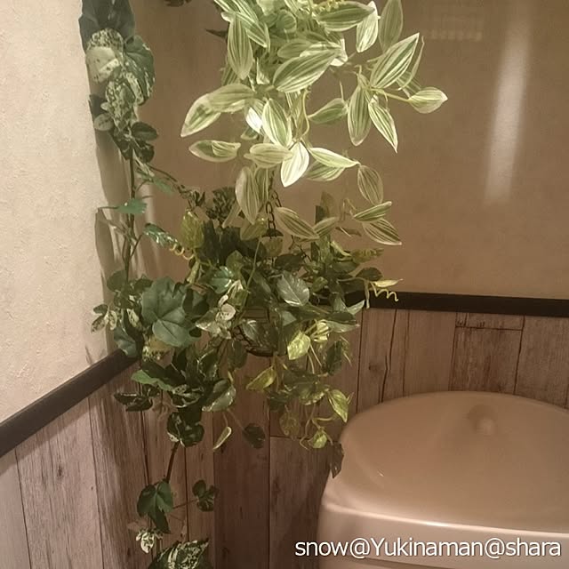 Yuki_sharaさんの実例写真