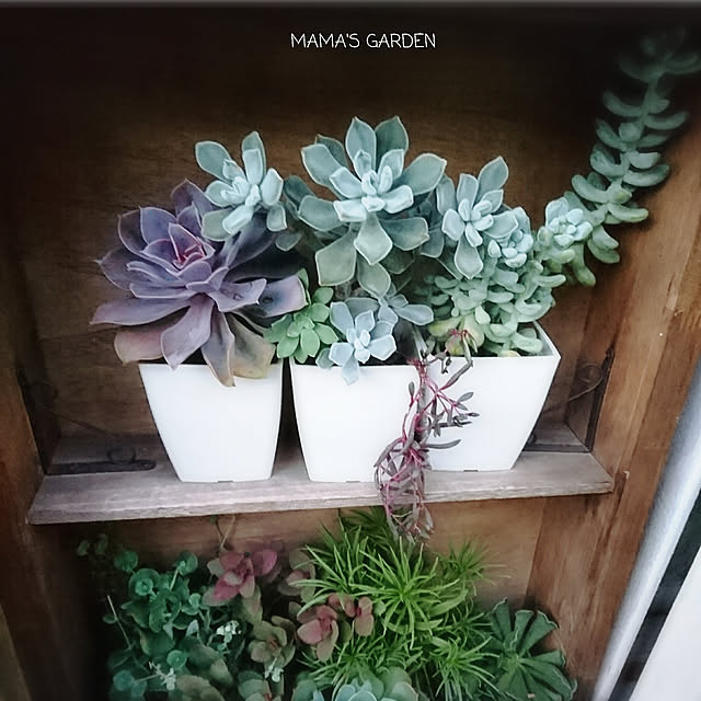 4-mamaさんの実例写真