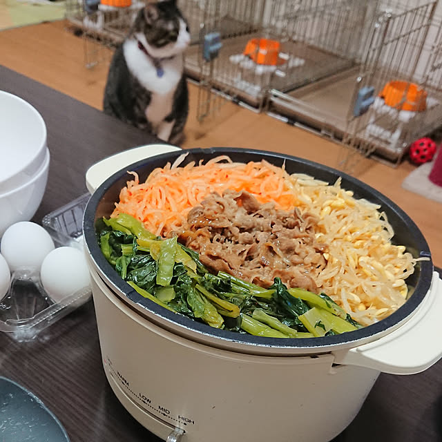 noguriさんの実例写真