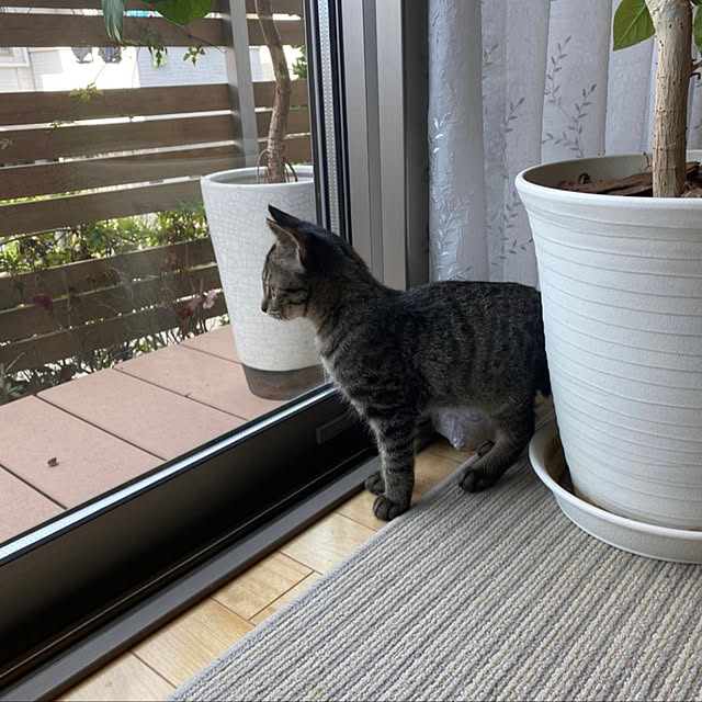 mnbykさんの実例写真