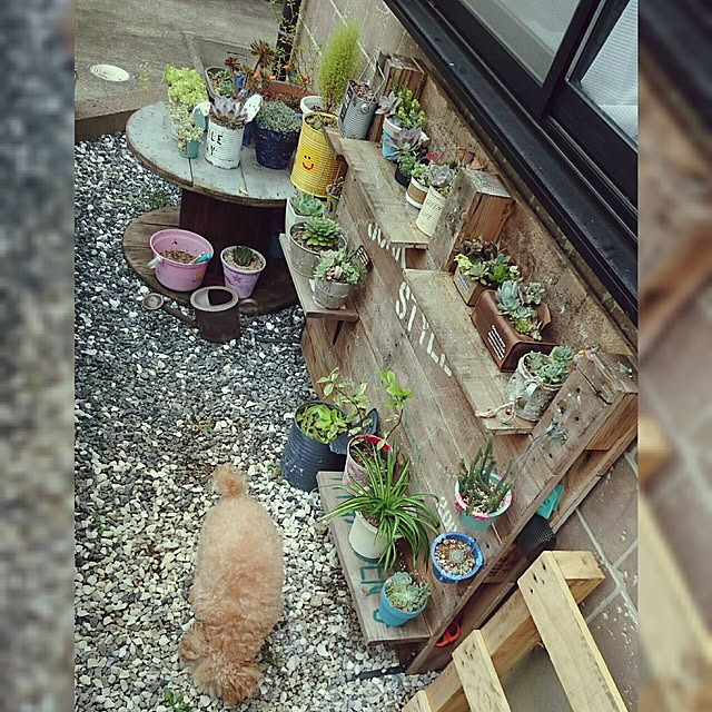 rika-snyさんの実例写真
