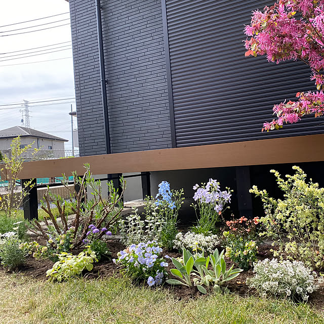 ffuwaさんの部屋