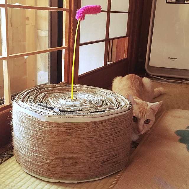 shukran_kinakoさんの実例写真