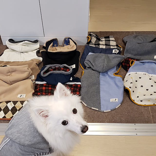 meさんの実例写真