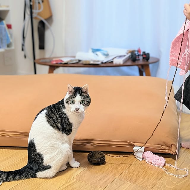 tomatopapaさんの部屋