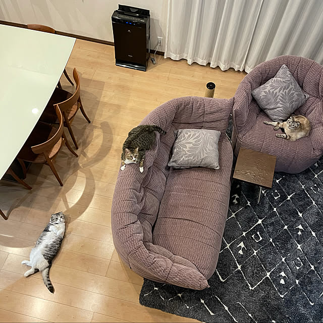 Dahliaさんの実例写真