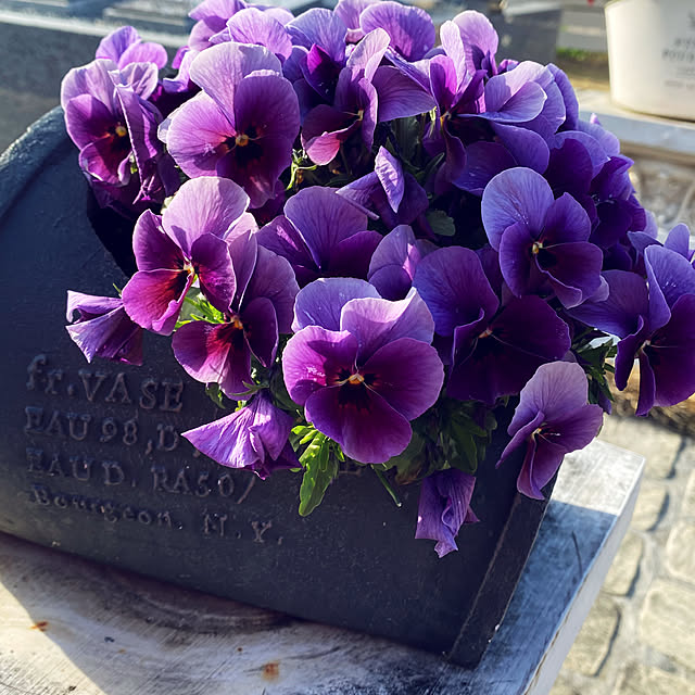 shimaさんの実例写真