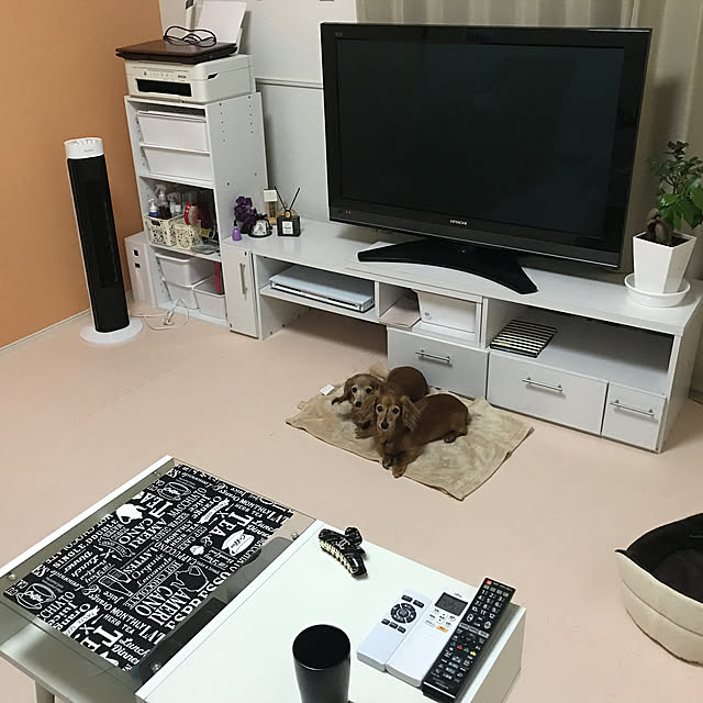 Arisaさんの実例写真