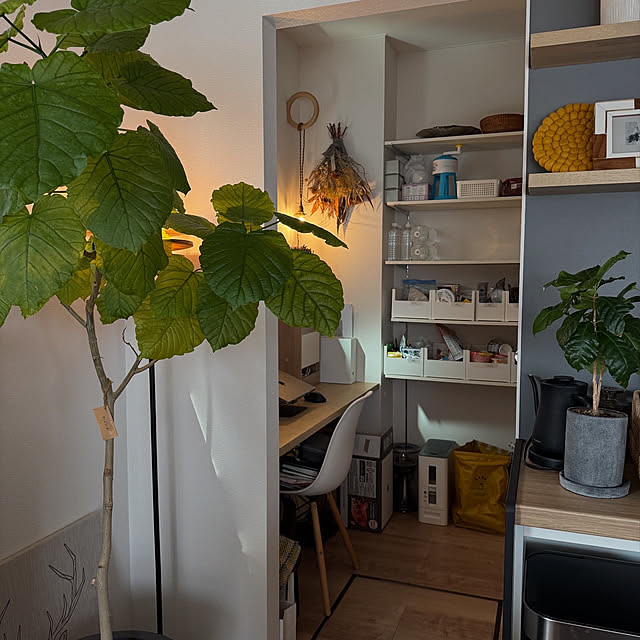 masuhome20さんの部屋