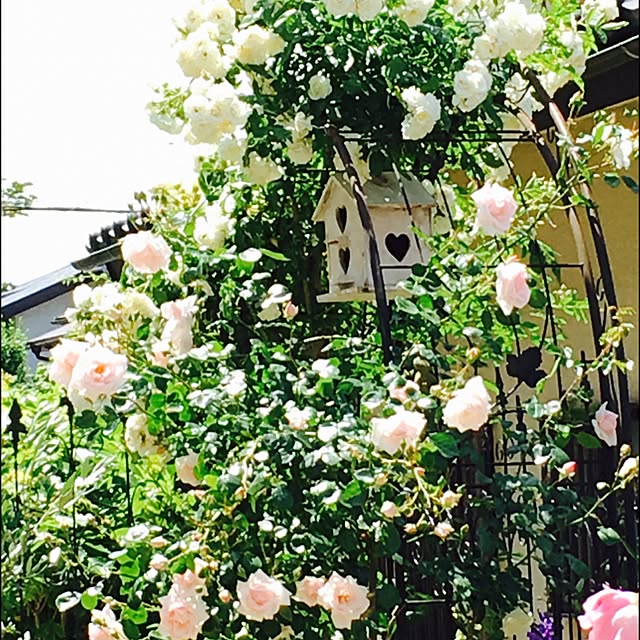 khj1974さんの実例写真
