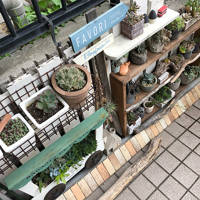 snowさんの実例写真