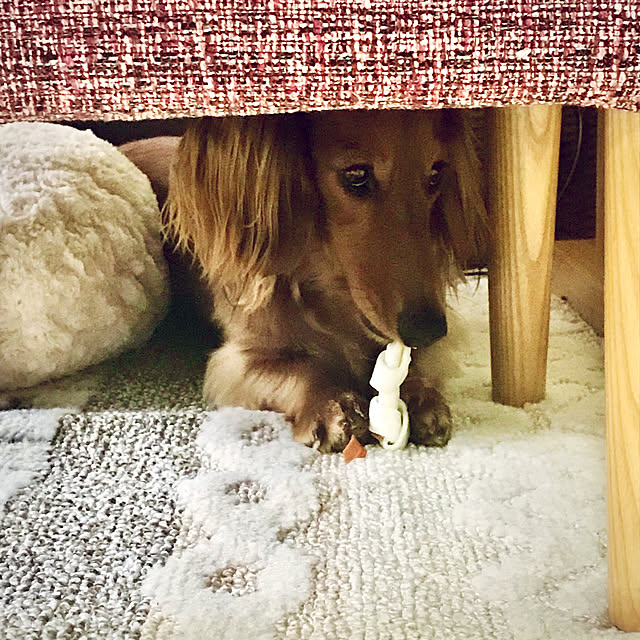 fuuさんの実例写真