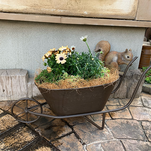 tabasaさんの実例写真