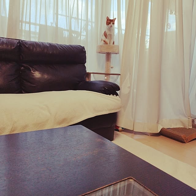 chacoさんの実例写真
