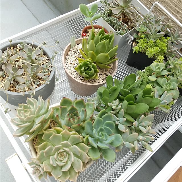 meiさんの部屋