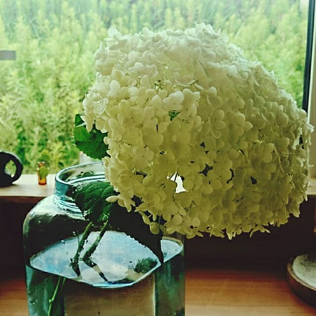chacoさんの実例写真