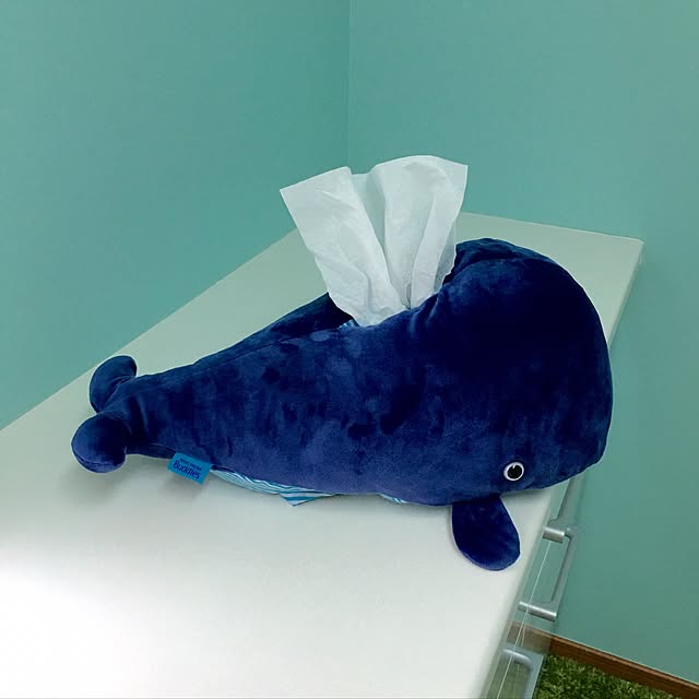azukiaraiさんの実例写真