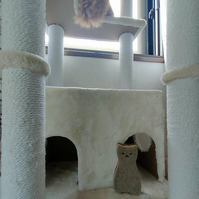 mori_6_12さんの実例写真