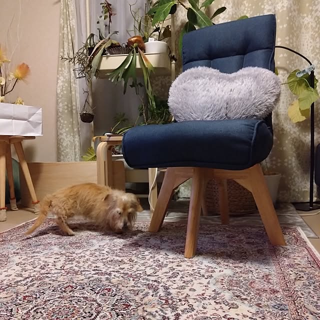 chocococoaさんの実例写真