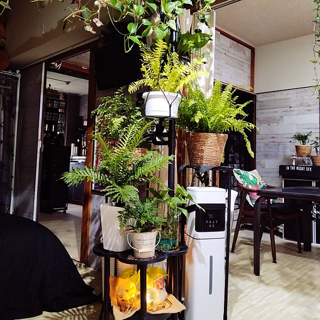 runaさんの実例写真