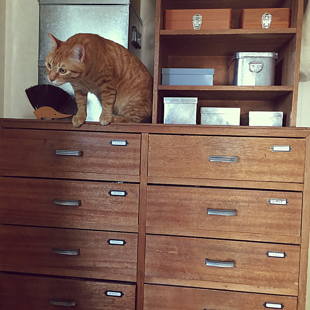 mokiさんの実例写真