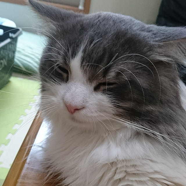 shinobuさんの実例写真