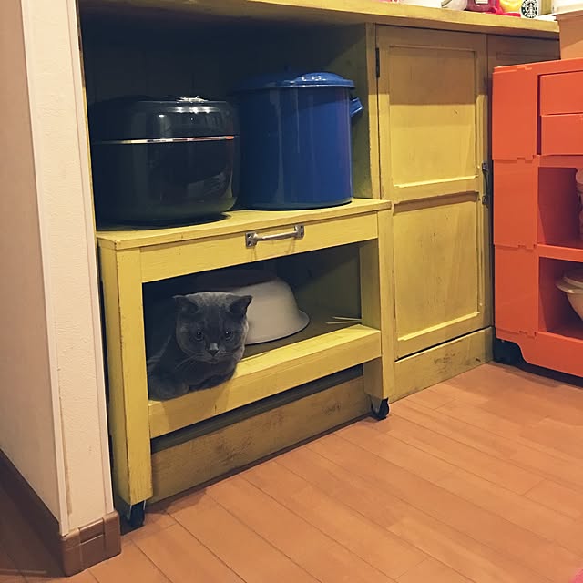 Shojiさんの実例写真