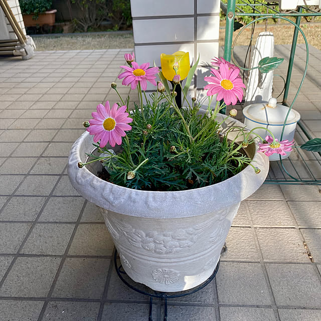 YuuKoさんの実例写真