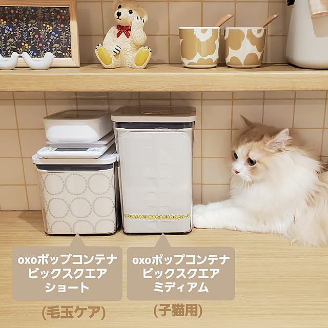 annyaさんの実例写真