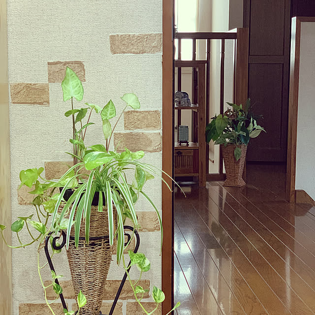 Annさんの実例写真