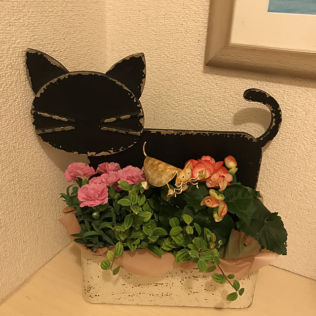 junsuさんの実例写真
